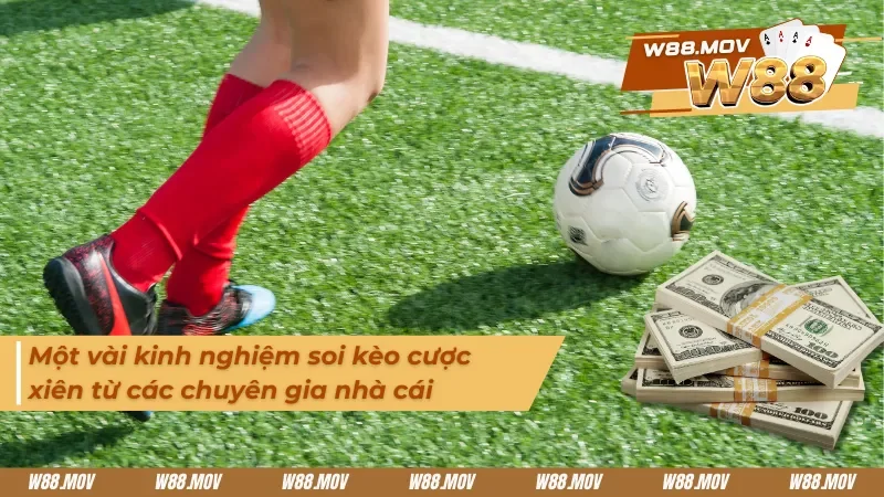 Những kinh nghiệm soi kèo hấp dẫn dành cho tân binh 