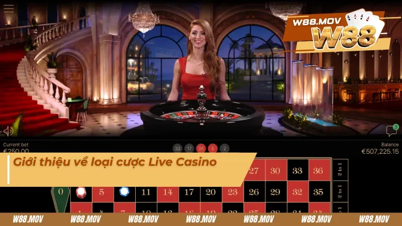 Tìm hiểu sơ bộ về Live Casino W88